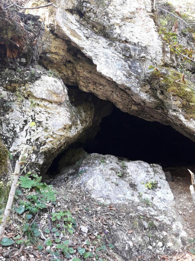 Studio Alpika Villa Luče Eksteriør bilde